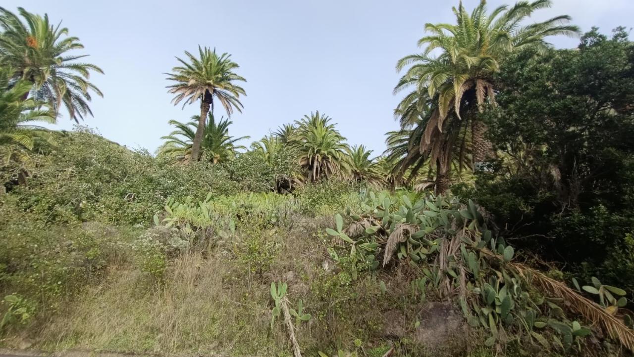 Alquilaencanarias Casa La Playa La Gomera Alojera Luaran gambar
